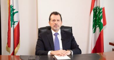 شحادة: لبنية تحتية رقمية وطنية والبدء خلال أسابيع